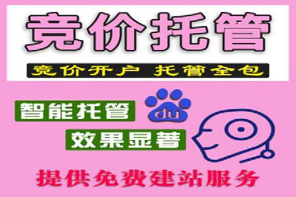 竞价广告赚钱案例：从新手到专家
